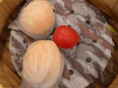 -潮江春(阳光店)