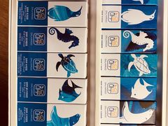 -乐天免税店(明洞店)