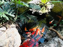 -白天鹅宾馆·流浮阁咖啡厅