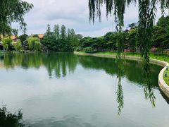 -钓鱼台国宾馆