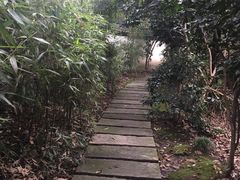 -杭州黄龙洞