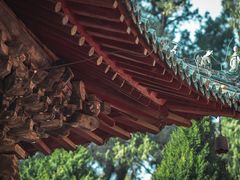 -报恩寺(平武县)