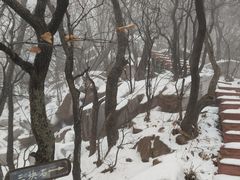 -三块石国家森林公园