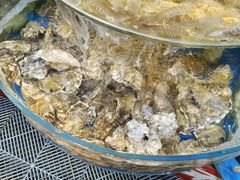 -沿海渔家院海鲜烧烤·东北菜(东戴河店)