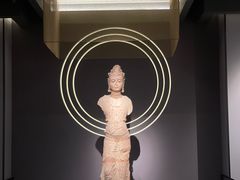 -四川大学博物馆