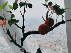 -广州塔晖粤轩中餐厅