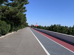 -日照海滨国家森林公园