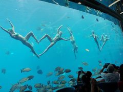-瑞德姆美人鱼海底演艺主题餐厅(亚龙湾店)