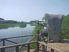 -溱湖国家湿地公园