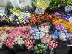 -循礼门鲜花花市(武汉循礼门店)