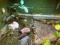 -上海大自然野生昆虫馆(东方明珠·爬宠昆虫探索中心)