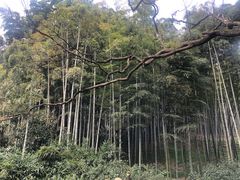 -杭州黄龙洞