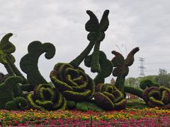 -昆山城市生态森林公园