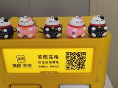 -瑞鹏宠物医院·骨外科·心肾科·肿瘤科(九亭店)