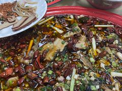 -东吴霸王兔(松青路店)
