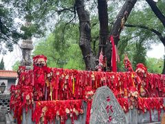 -大槐树寻根祭祖园