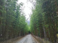 -蝴蝶泉公园