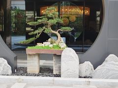 -椿杨樘·明康泡浴养生馆(重庆店)