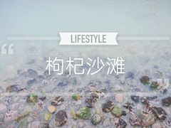 -枸杞岛