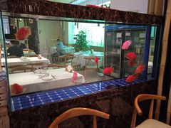 -原鄉本味 楚菜 丹江口鱼(北苑店)