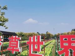 -广东花都香草世界旅游度假区