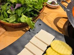 -老凯俚酸汤鱼(多彩城店)