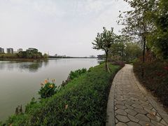 -顺峰山公园