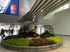-白云机场商务旅客休息区