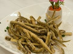 -金华安大酒楼·老牌潮菜·粤式茶点(东方国际店)