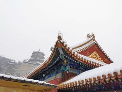 -颐和园