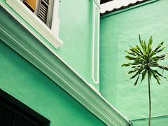 -槟城街头艺术街区