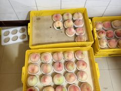 -老袁家蜜桃农场·阳山水蜜桃