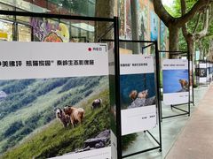 -西安电影制片厂