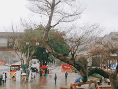 -磁器口古镇