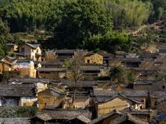 -杨家堂村