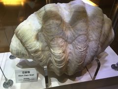 -香港科学馆