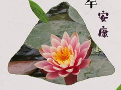 -三里河公园