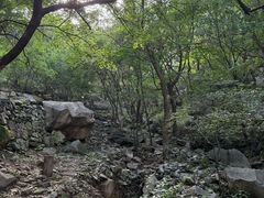 -北京鹫峰国家森林公园