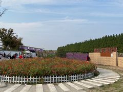 -嘉北郊野公园