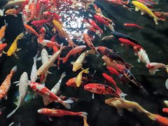 -成都欢乐谷