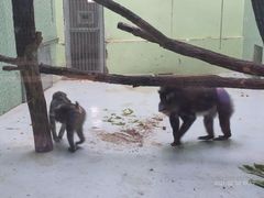 -石家庄市动物园