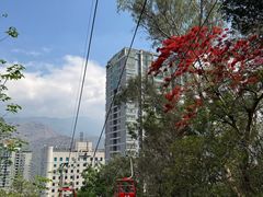 -攀枝花公园