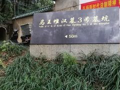 -马王堆汉墓遗址