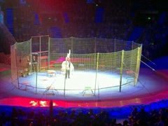 -珠海横琴长隆《卡卡虎奇遇记》