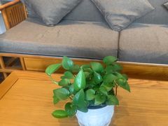 -1918中餐厅(衡山路店)