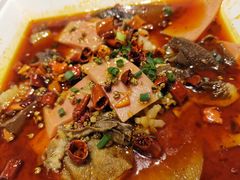 精品毛血旺-国人川菜(李家村建东街店)