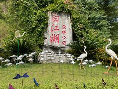 -广州白江湖森林公园