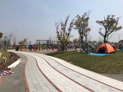 -南汇嘴观海公园