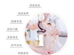 -PETKIT小佩宠物·低压洗护(国顺东路店)