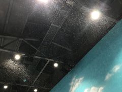 -Mr·Kuma酷么先生雪之乐园